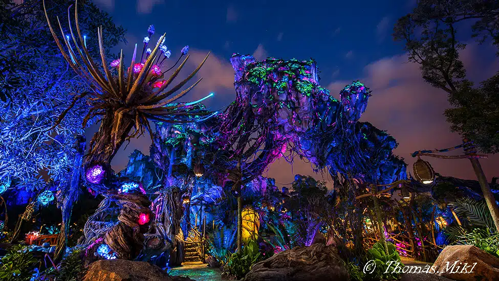 Animal Kingdom décors