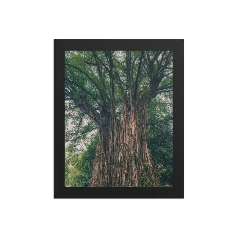 Le Banian Sacré de Nuku Hiva – Affiche encadrée