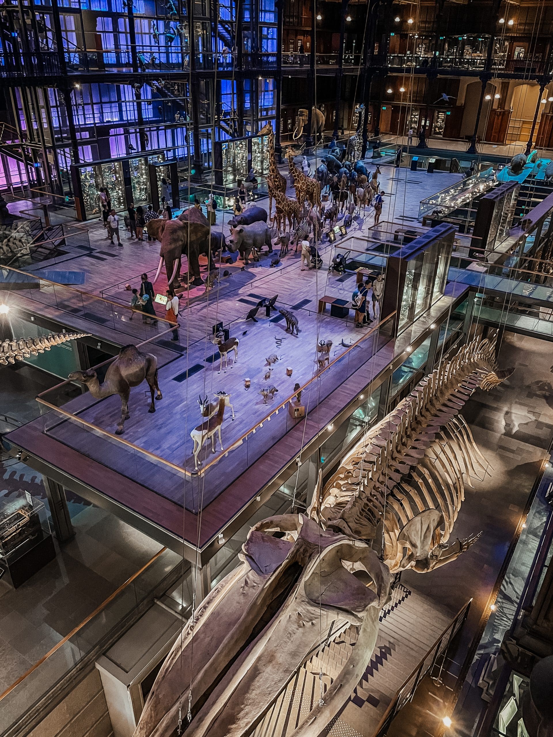 Jardin des Plantes et Muséum national d’Histoire naturelle à Paris