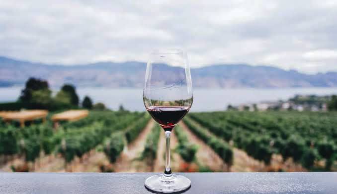 Vins et vignobles de Croatie